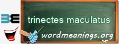 WordMeaning blackboard for trinectes maculatus